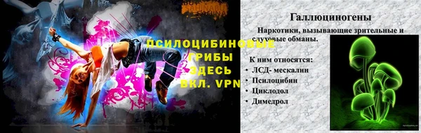 ПСИЛОЦИБИНОВЫЕ ГРИБЫ Дмитровск